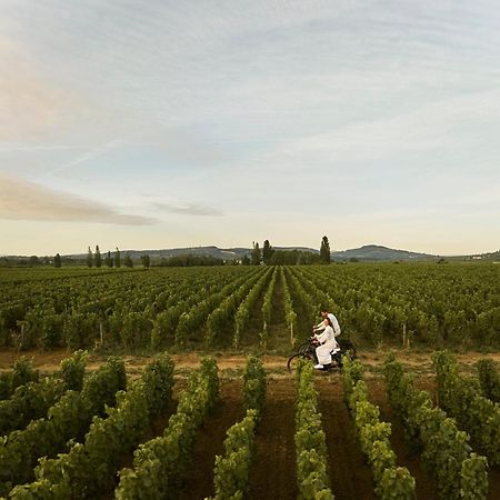 Como Le Montrachet Puligny-Montrachet Ngoại thất bức ảnh