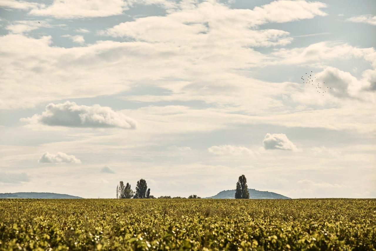 Como Le Montrachet Puligny-Montrachet Ngoại thất bức ảnh