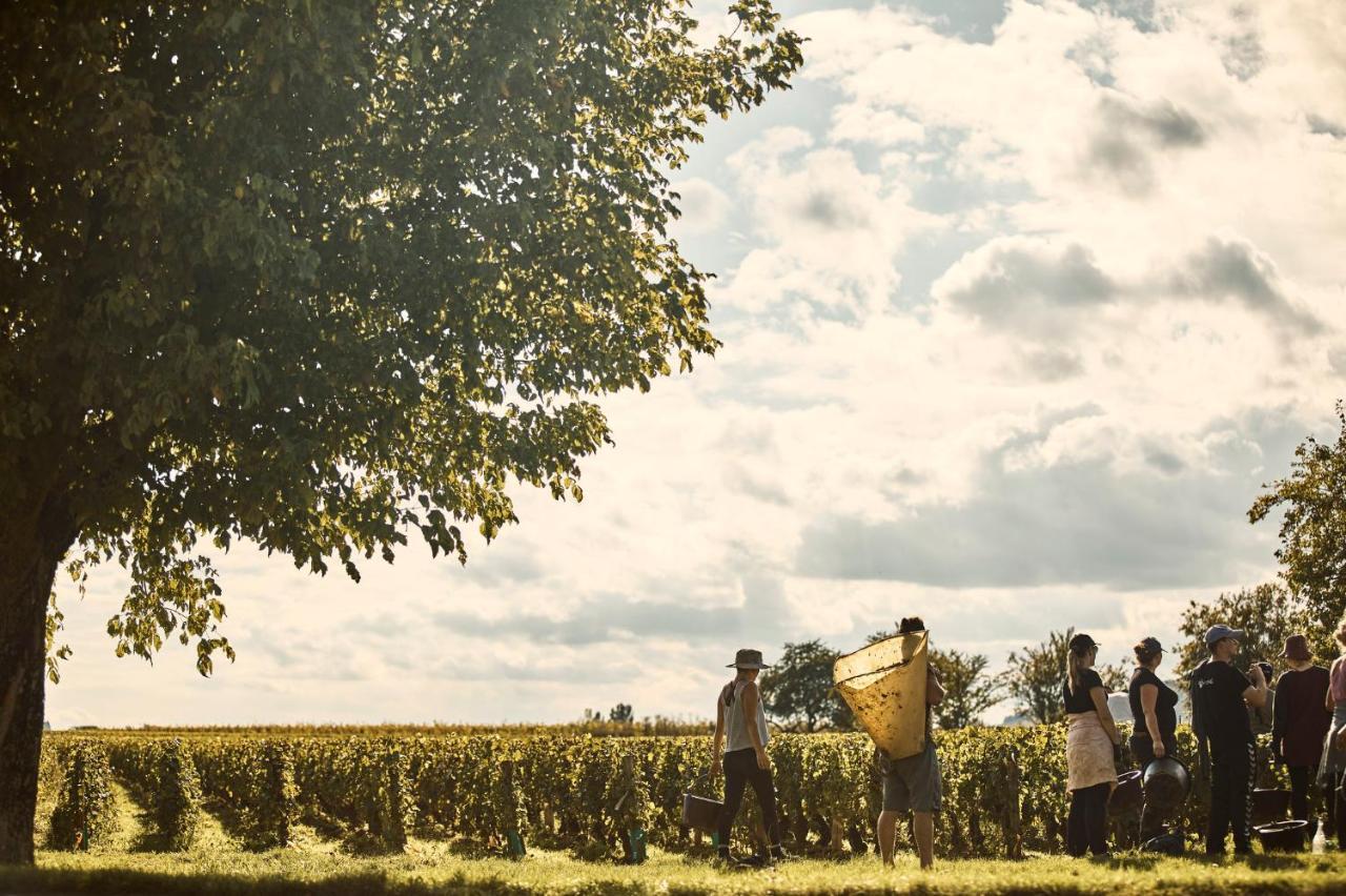 Como Le Montrachet Puligny-Montrachet Ngoại thất bức ảnh