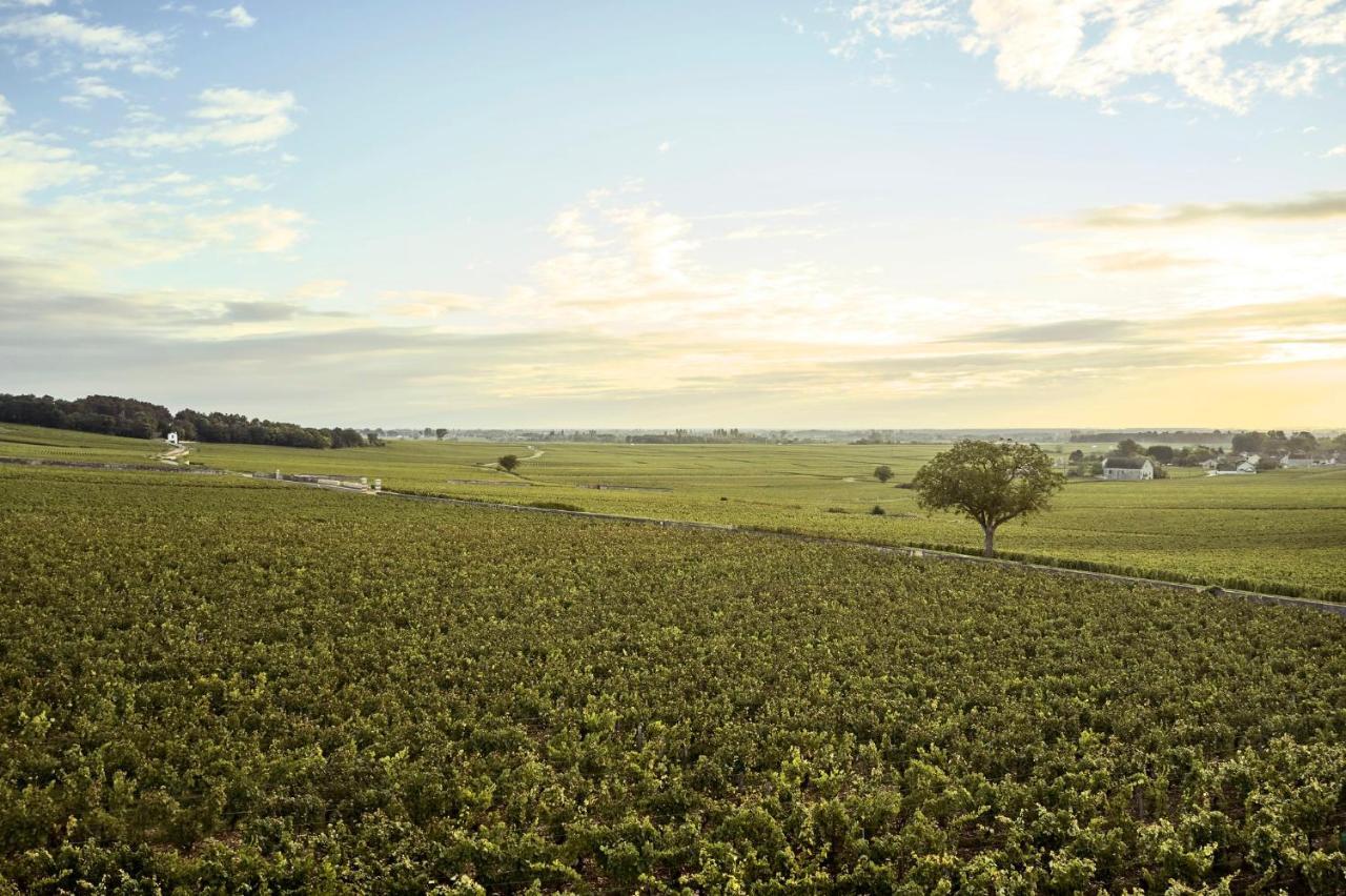 Como Le Montrachet Puligny-Montrachet Ngoại thất bức ảnh