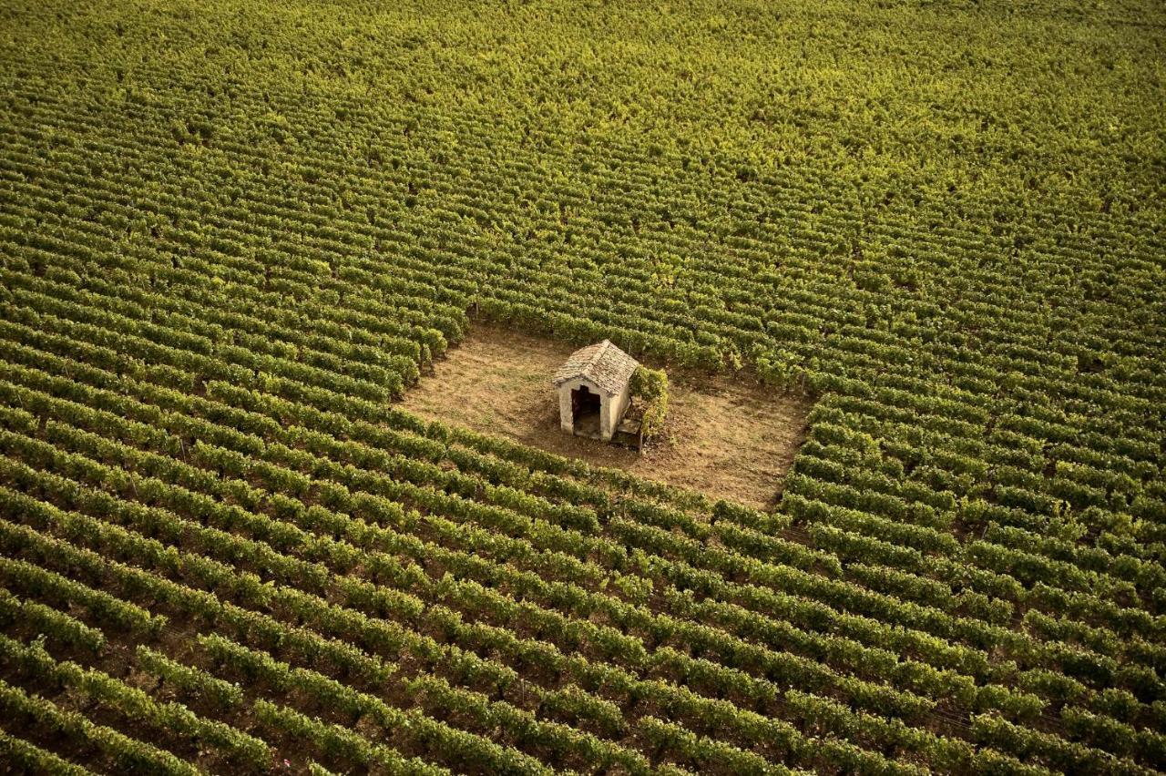 Como Le Montrachet Puligny-Montrachet Ngoại thất bức ảnh
