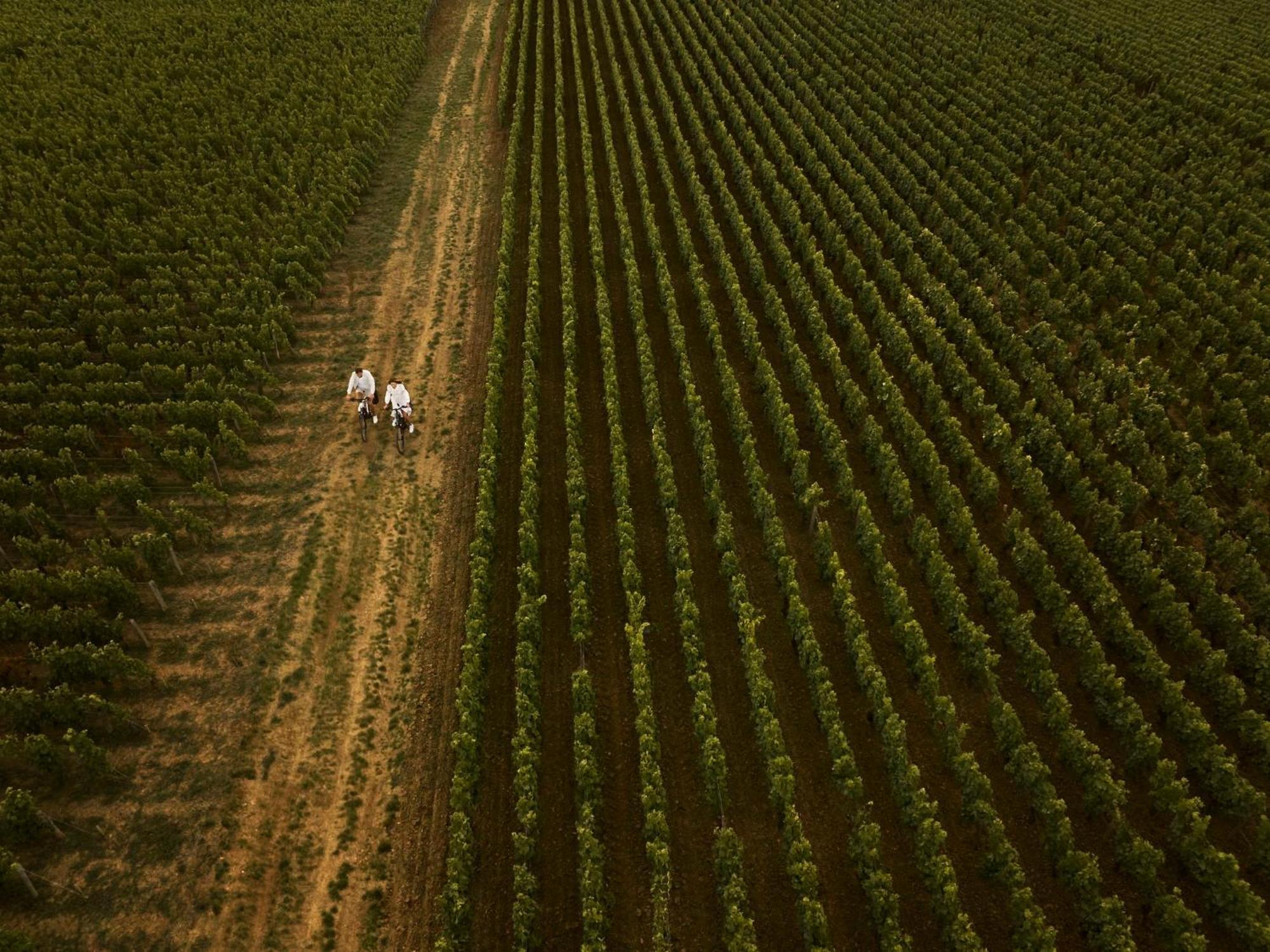 Como Le Montrachet Puligny-Montrachet Ngoại thất bức ảnh